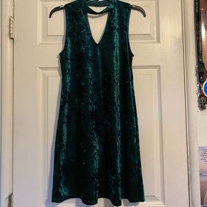 Velvet Dress